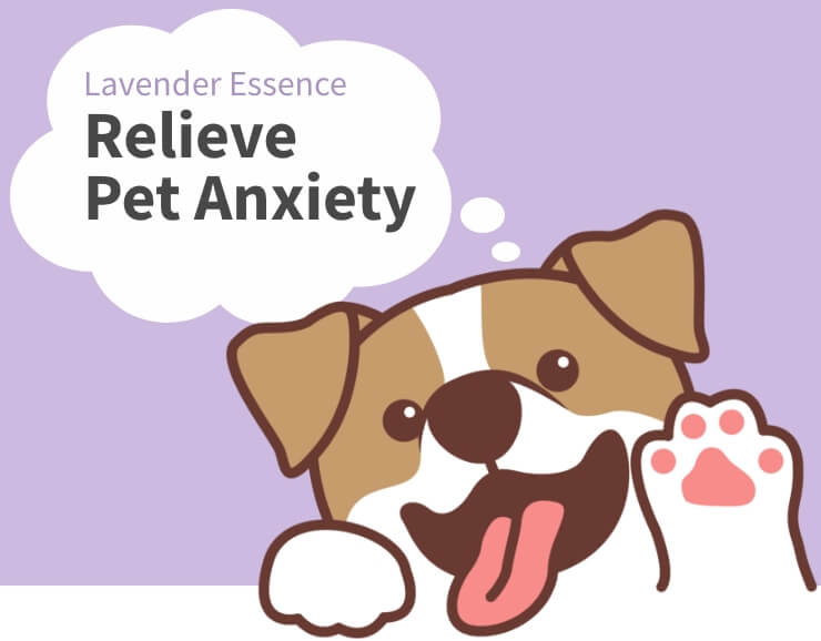 Relieve Pet Anxiety