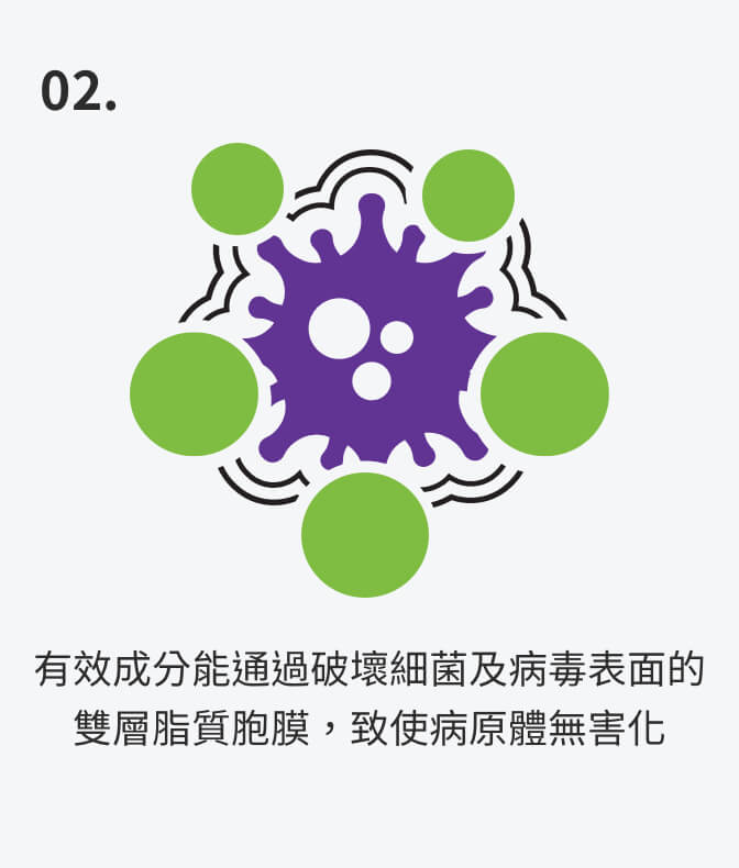有效成分能通過破壞細菌及病毒表面的雙層脂質胞膜，致使病原體無害化
